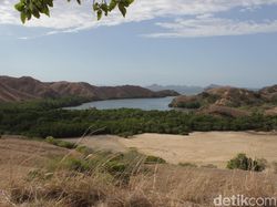 Jeritan Hati Pulau Rinca yang Belum Kamu Dengar