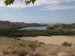 Jeritan Hati Pulau Rinca yang Belum Kamu Dengar