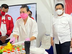 Isi Garasi Srikandi Keluarga Maruf Amin dan Prabowo yang Ikut Maju Pilkada 2020