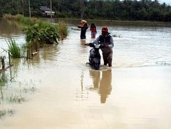 Sungai Cipanje Sukabumi Meluap Rendam Sawah dan Pemukiman