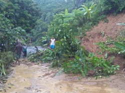 Hujan Semalaman Picu Tanah Longsor 7 Titik di Trenggalek