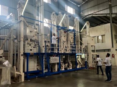 Antisipasi Krisis Pangan, Muhammadiyah Lahirkan Beras MU