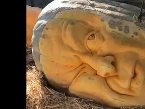 Bikin Ternganga, Labu Raksasa Hampir 1 Ton!