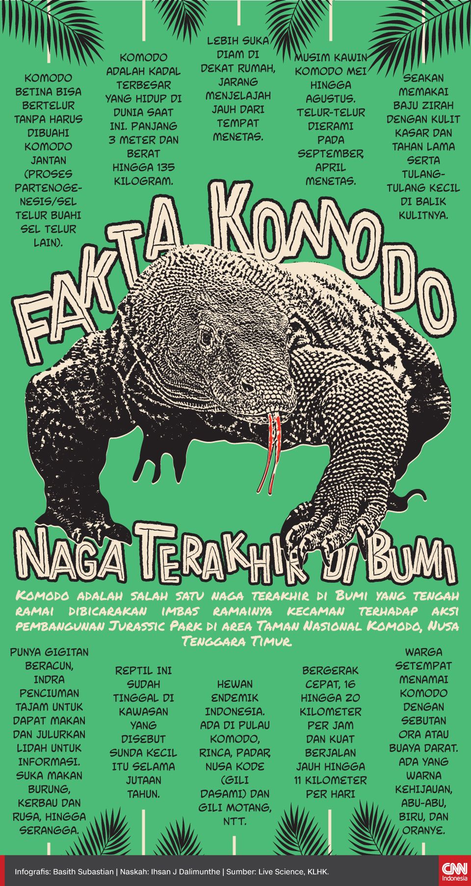 Infografis Fakta Komodo, Naga Terakhir di Bumi