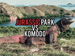 Media Asing Juga Soroti Proyek Jurassic Park TN Komodo Media Asing Juga Soroti Proyek Jurassic Park TN Komodo