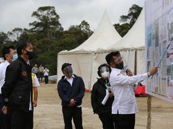 Jokowi: Hasil Food Estate Terlihat dalam 2 Bulan