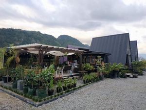 Rekomendasi Penginapan Unik di Aceh Tengah