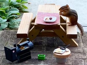 Gemas, Restoran Imut Ini Khusus Dibuat untuk Tupai Gemas, Restoran Imut Ini Khusus Dibuat untuk Tupai