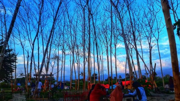 Pengunjung menikmati suasana sore hari di Taman Likuefaksi Desa Lolu, Kecamatan Sigi Biromaru, Kabupaten Sigi, Provinsi Sulteng, Minggu. (ANTARA/Muhammad Hajiji)