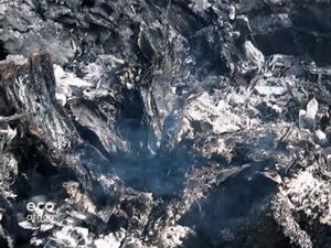 Gerakan Sosial Mengatasi Sistem Tebas Bakar di Senegal