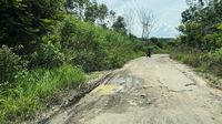 Jalan Provinsi di Lampung Rusak Parah