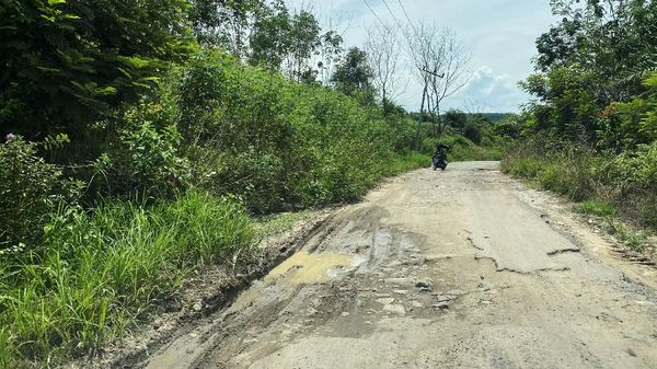 Jalan Provinsi di Lampung Rusak Parah
