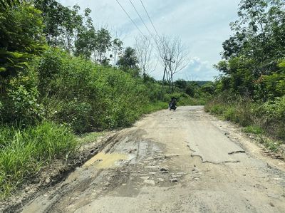 Jalan Provinsi di Lampung Rusak Parah