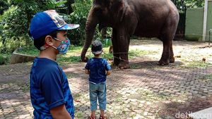 Long Weekend, Kebun Bintang Bandung Perketat Protokol Kesehatan