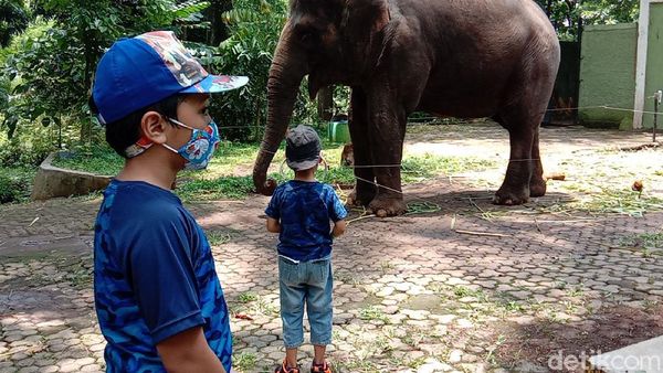 Long Weekend, Kebun Bintang Bandung Perketat Protokol Kesehatan