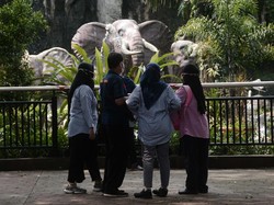 Ragunan Kembali Buka, Simak Jadwal Jam Bukanya