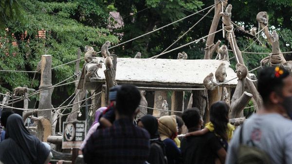 Deretan Tempat Wisata Ini Diserbu Pengunjung Saat Libur Maulid Nabi