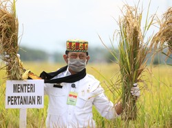 Mentan Pastikan Stok Beras RI Aman hingga Akhir Tahun