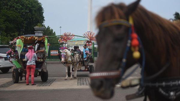 Nasib Kusir Delman Ibu Kota di Tengah PSBB Transisi-Libur Panjang