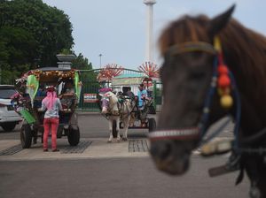 Nasib Kusir Delman Ibu Kota di Tengah PSBB Transisi-Libur Panjang