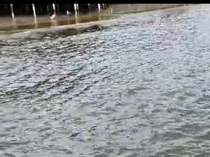Pantai di Balikpapan Diduga Tercemar Cairan Berbau Solar, Ikan-ikan Kecil Mati Pantai di Balikpapan Diduga Tercemar Cairan Berbau Solar, Ikan-ikan Kecil Mati