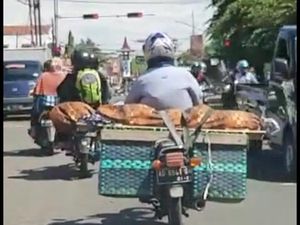 5 Fakta dari Tindakan Warga Boyolali Bawa Jenazah Ibu di atas Bronjong 5 Fakta dari Tindakan Warga Boyolali Bawa Jenazah Ibu di atas Bronjong