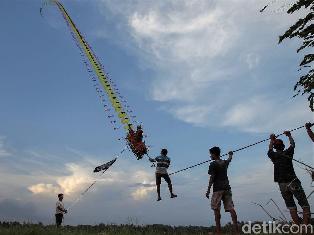 Wow! Layang-layang ini Bisa Terbangkan Manusia Lho Wow! Layang-layang ini Bisa Terbangkan Manusia Lho