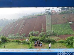 Indahnya Bukit Bintang Bandung, Cek Rute dan Tarifnya di Sini!