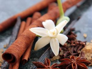 Terkuak, Tradisi Pengobatan Sakral dan Unik Dayak Golik, Diwariskan Lewat Mimpi Terkuak, Tradisi Pengobatan Sakral dan Unik Dayak Golik, Diwariskan Lewat Mimpi