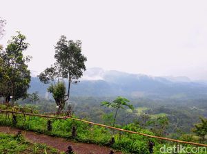 Bukan Cuma Laut, Pangandaran Juga Punya Pegunungan Ciamik!