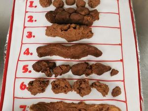 Hii Jijik! Wanita Ini Dapat Kue Ulang Tahun Bentuk Kotoran Manusia