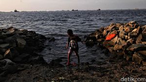 Pantai Marunda Jadi Primadona Wisata Alternatif di Pesisir Jakarta