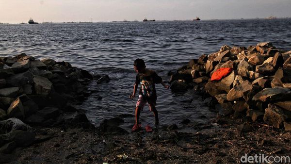 Pantai Marunda Jadi Primadona Wisata Alternatif di Pesisir Jakarta