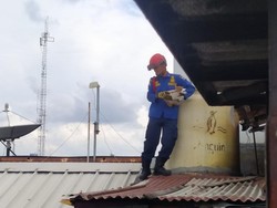 Kucing Liar Terjebak di Atap Ruko ITC Roxy Mas, Damkar Turun Tangan