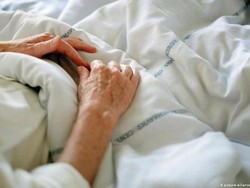 Selandia Baru Pilih Legalkan Eutanasia, Legalisasi Ganja Kalah Suara