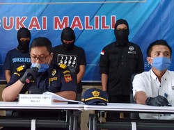 Bea Cukai Luwu Timur Ungkap Penyelundupan 446 Gram Ganja Modus Jasa Pengiriman