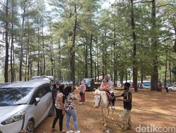 Tamasya dan Wisata Alam Disukai Wisatawan Muslim di Tengah Pandemi