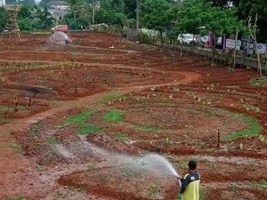 Coba Tengok Eduwisata Baru di Tangerang, Berawal dari Lahan Kosong