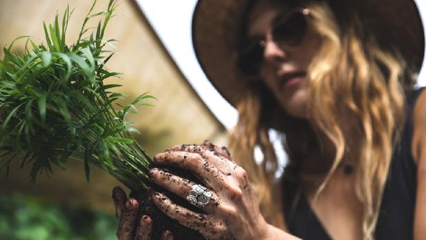 Group of people learning ornamental gardening with Kokedama Japanese technique