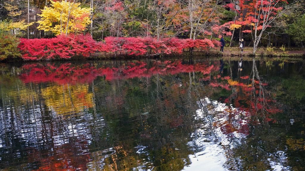 Indahnya Musim Gugur di Jepang