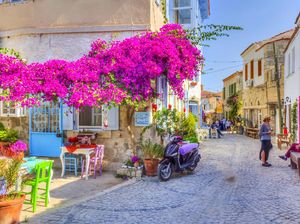 Satu-satunya di Dunia, Negara Mayoritas Islam dengan Paham Sekuler