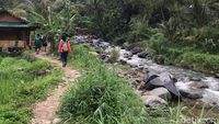 Nagih Banget! Hiking di Sentul