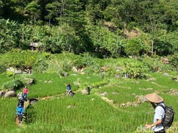 Cuaca dan PSBB Bikin Treking Sentul Sepi Peminat