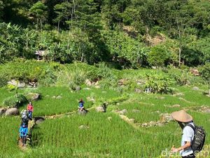 Cuaca dan PSBB Bikin Treking Sentul Sepi Peminat Cuaca dan PSBB Bikin Treking Sentul Sepi Peminat
