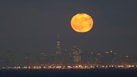 Fenomena Langit Oktober 2026: Ada Hujan Meteor hingga Hunters Moon!