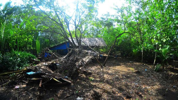 Potret Hutan Mangrove Pangandaran yang Terbengkalai
