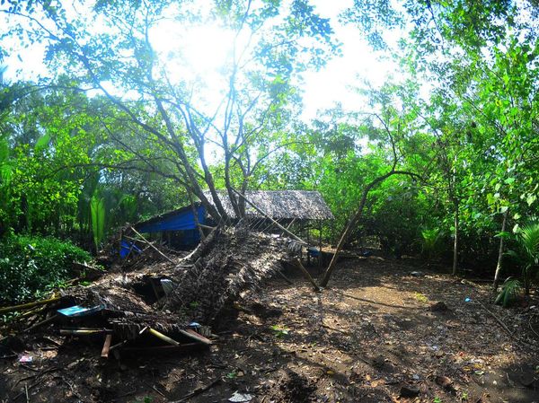 Potret Hutan Mangrove Pangandaran yang Terbengkalai