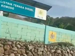 Ada Komodo Nyasar ke PLTD, Apa Kata PLN?