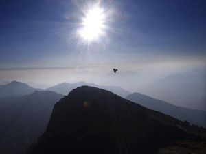 Hilang 77 Tahun Lalu, Pesawat Perang Dunia II Ditemukan di India Hilang 77 Tahun Lalu, Pesawat Perang Dunia II Ditemukan di India