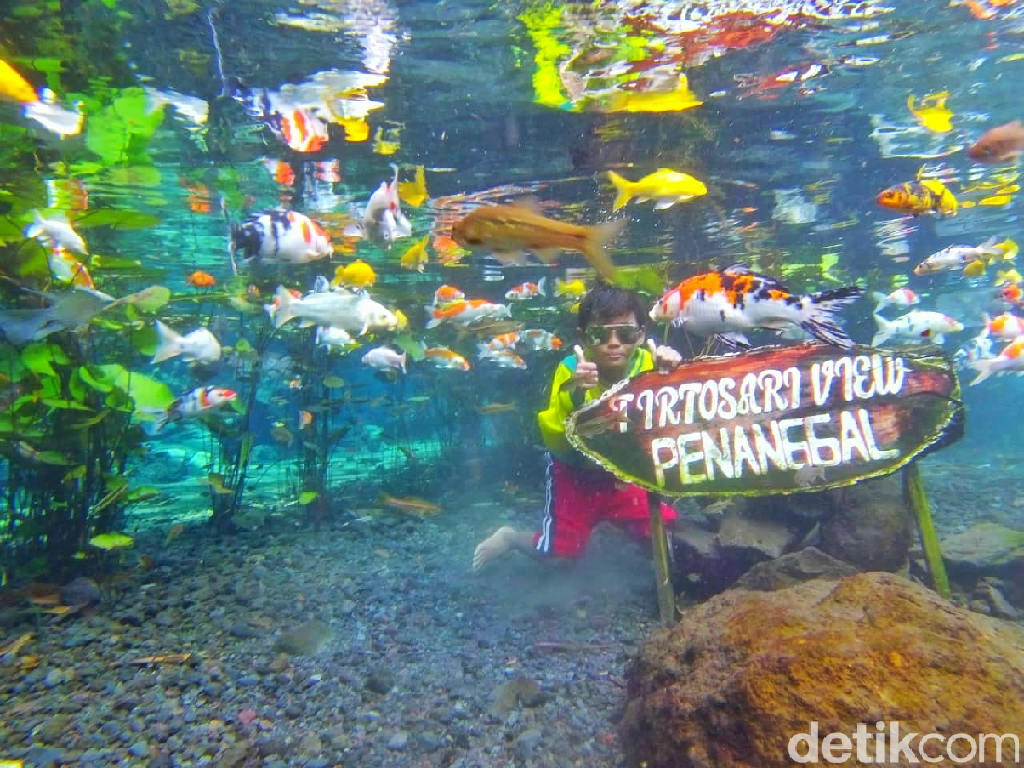 Libur Panjang, Pengunjung Tirtosari Lumajang Capai 1.000 Orang per Hari